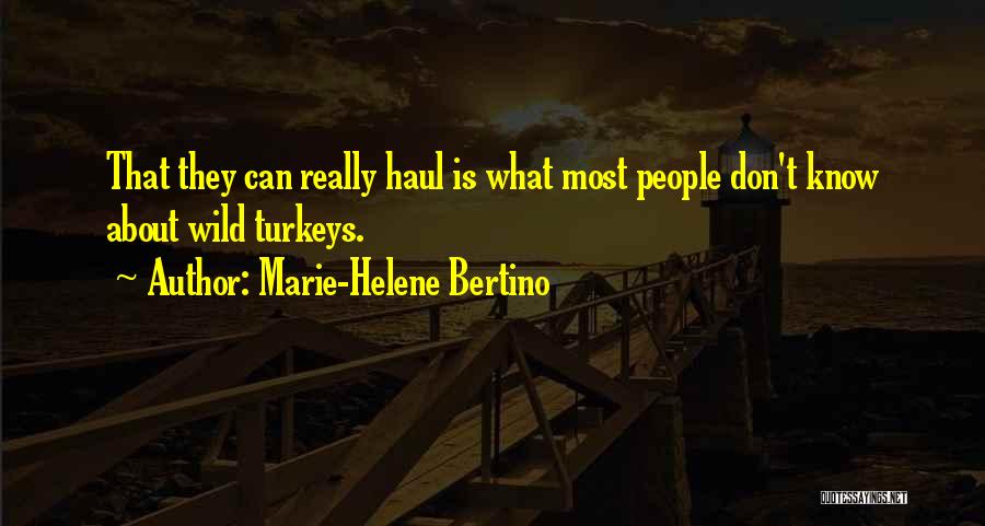 Marie-Helene Bertino Quotes 1368595
