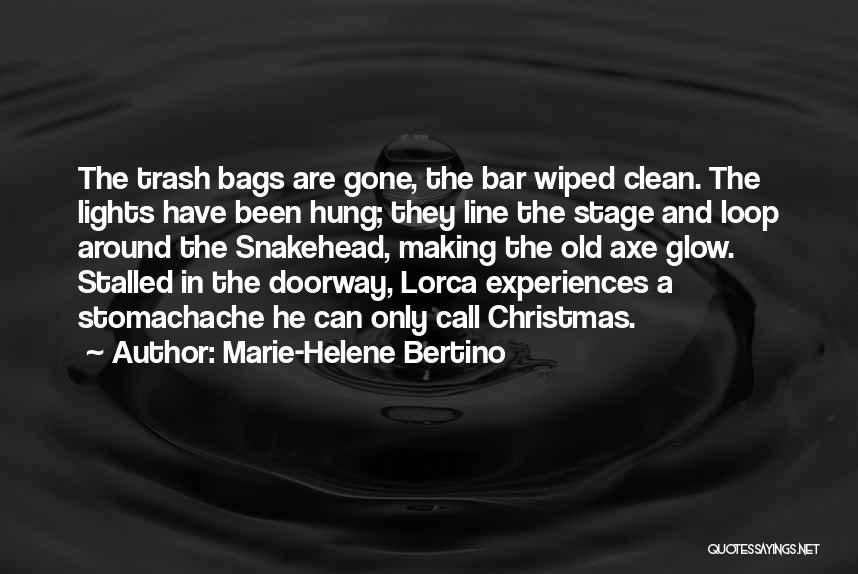 Marie-Helene Bertino Quotes 506532