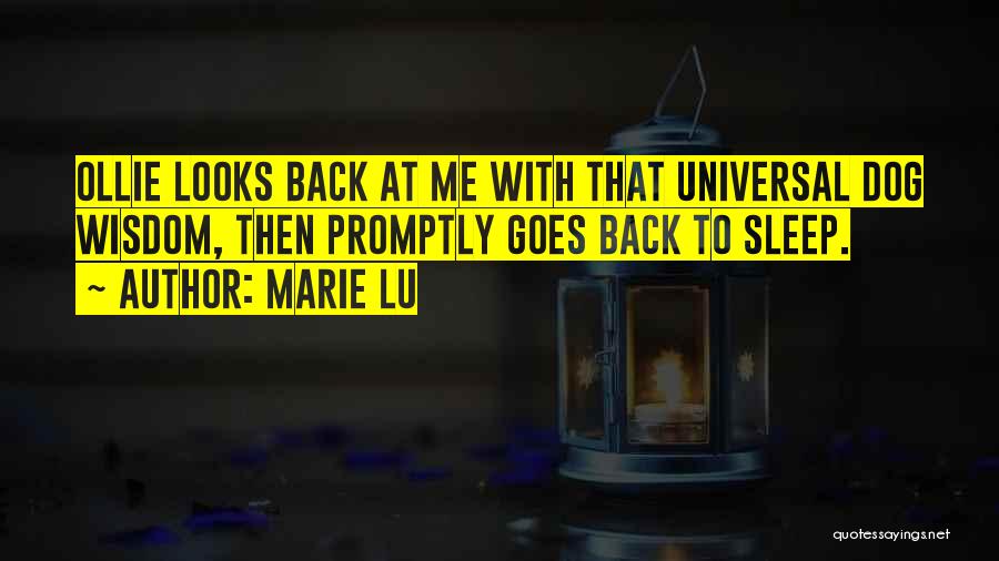 Marie Lu Quotes 2245701