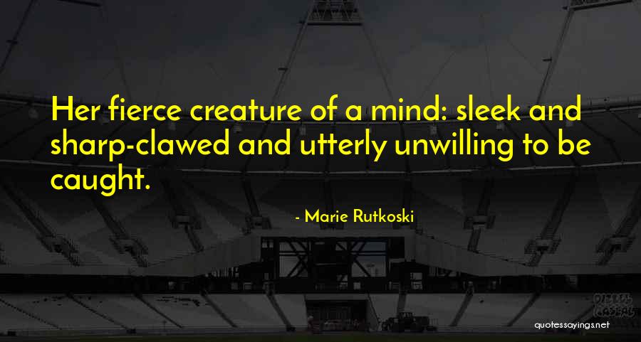 Marie Rutkoski Quotes 1629578