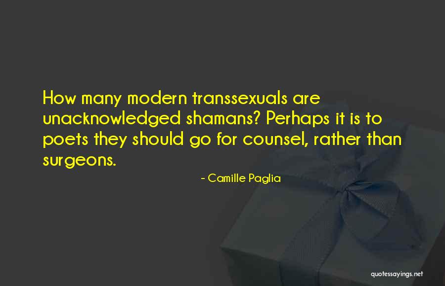 Mariel Rodriguez Quotes By Camille Paglia Mariel Rodriguez Quotes By Camille Paglia