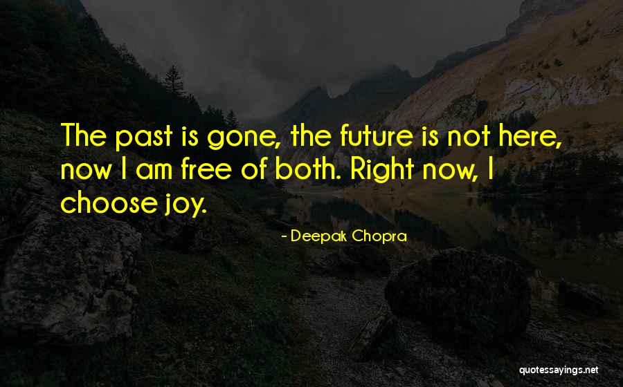 Marielle Quotes By Deepak Chopra Marielle Quotes By Deepak Chopra