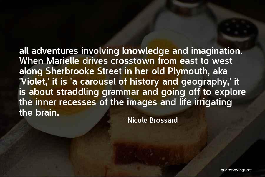 Marielle Quotes By Nicole Brossard Marielle Quotes By Nicole Brossard