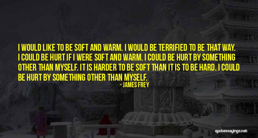 Marietjie Prinsloo Quotes By James Frey Marietjie Prinsloo Quotes By James Frey