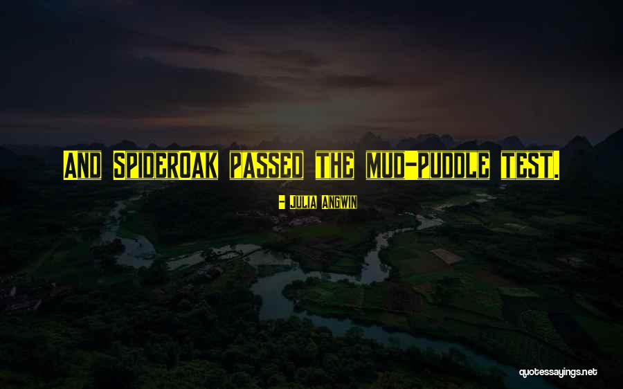 Mariglo Pascual Quotes By Julia Angwin Mariglo Pascual Quotes By Julia Angwin