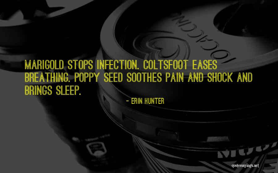 Marigold Quotes By Erin Hunter Marigold Quotes By Erin Hunter