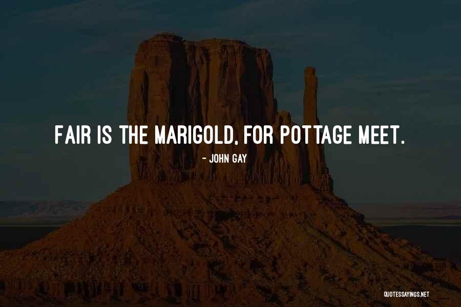 Marigold Quotes By John Gay Marigold Quotes By John Gay