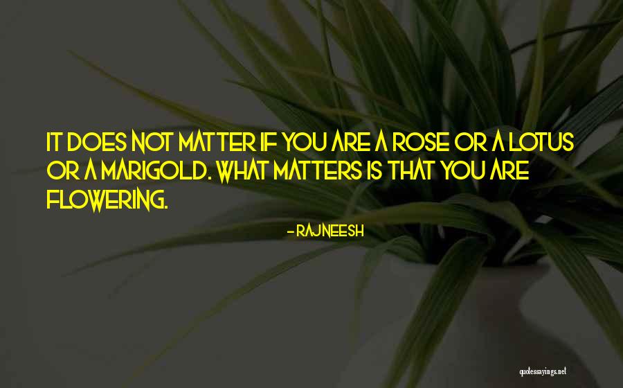 Marigold Quotes By Rajneesh Marigold Quotes By Rajneesh