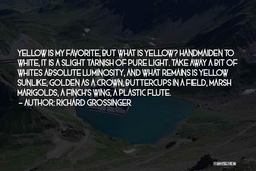 Marigolds Quotes By Richard Grossinger
