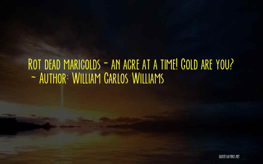 Marigolds Quotes By William Carlos Williams