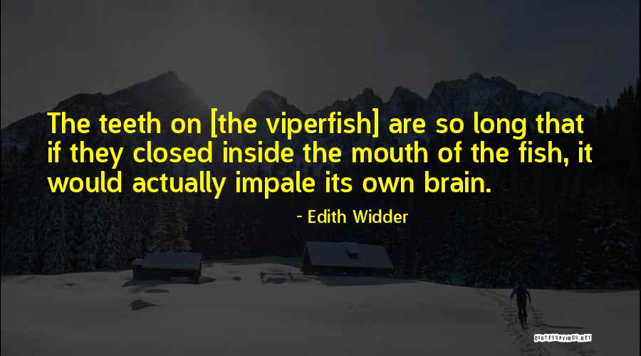 Marijn Van Quotes By Edith Widder Marijn Van Quotes By Edith Widder