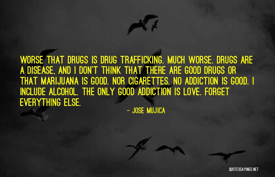 Marijuana Addiction Quotes By Jose Mujica Marijuana Addiction Quotes By Jose Mujica