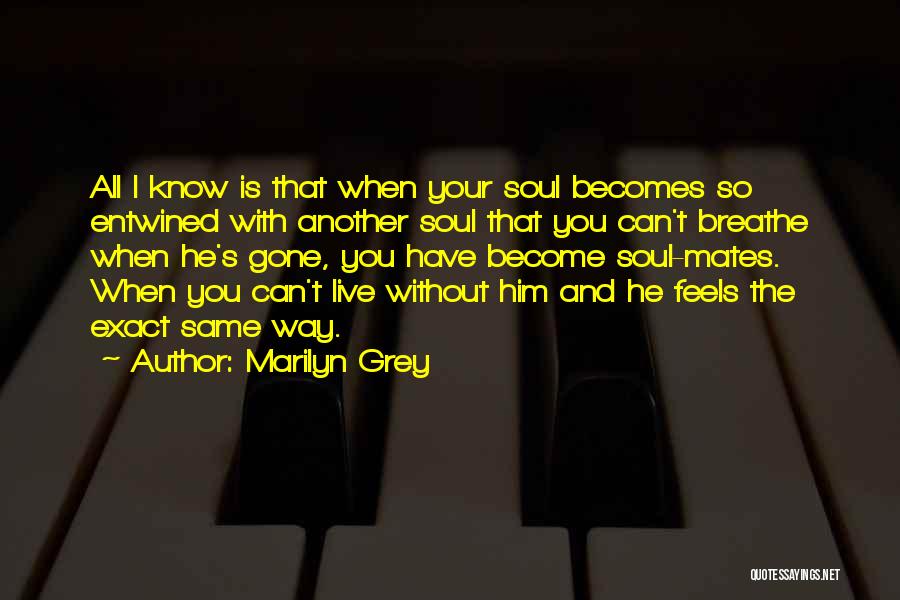 Marilyn Grey Quotes 88795