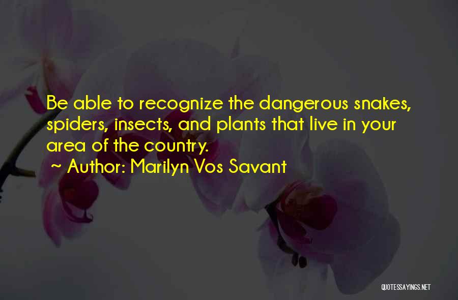 Marilyn Vos Savant Quotes 1606586