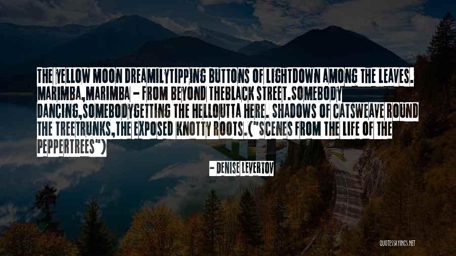 Marimba One Quotes By Denise Levertov Marimba One Quotes By Denise Levertov