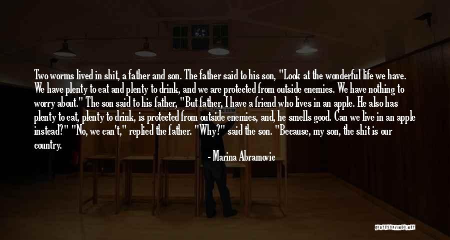 Marina Abramovic Quotes 1338992