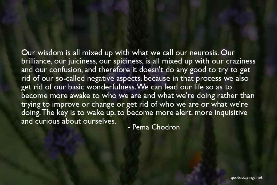 Marinades For Flank Quotes By Pema Chodron Marinades For Flank Quotes By Pema Chodron