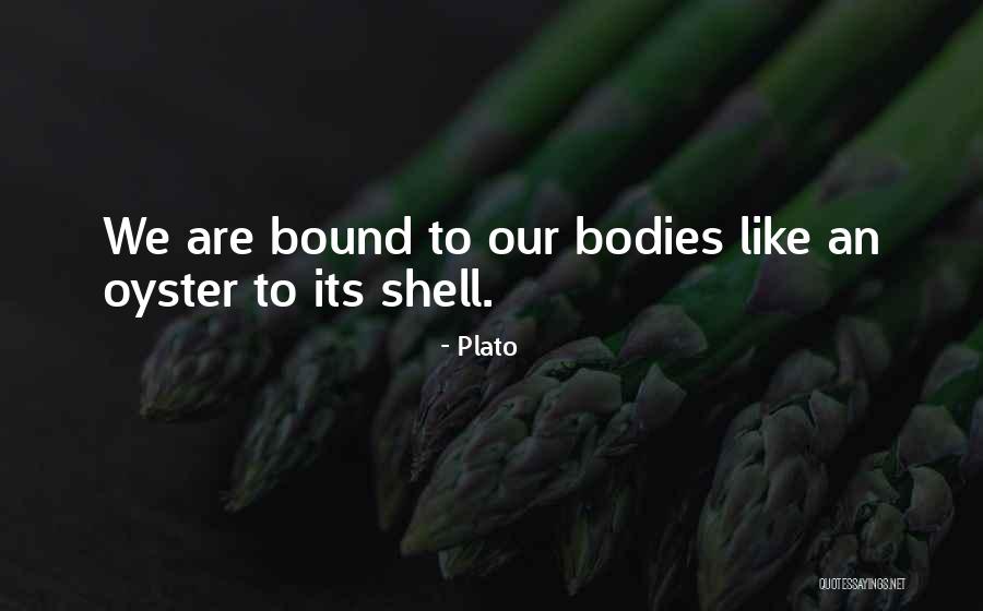 Marinangeles Quotes By Plato Marinangeles Quotes By Plato