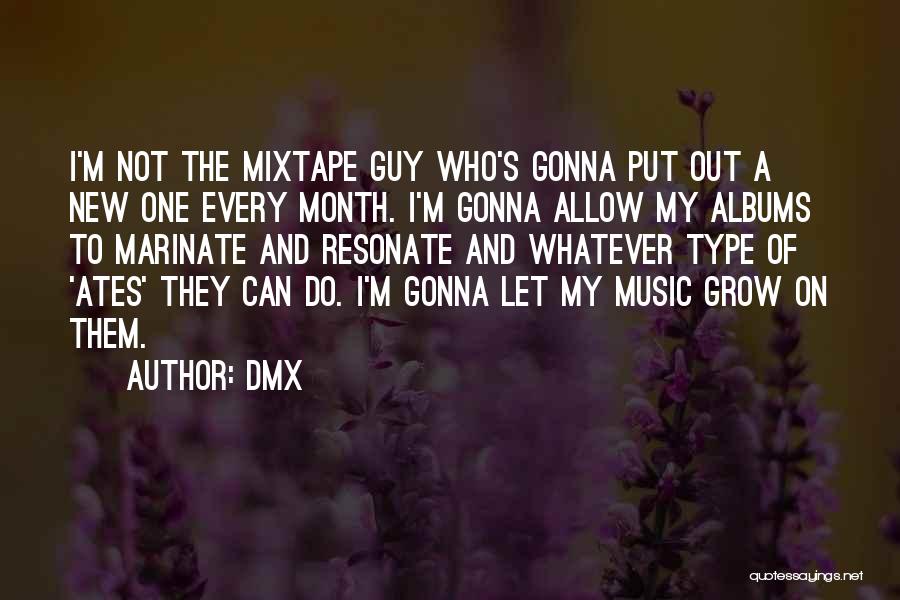 Marinate Quotes By DMX