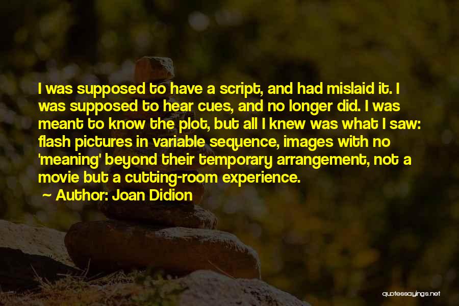 Marine Corp Inspirational Quotes By Joan Didion