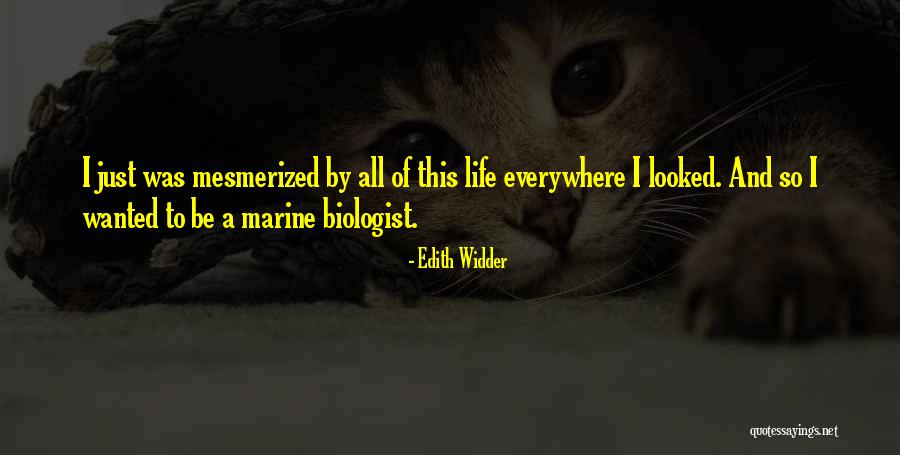 Marine Life Quotes By Edith Widder