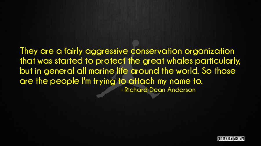 Marine Life Quotes By Richard Dean Anderson