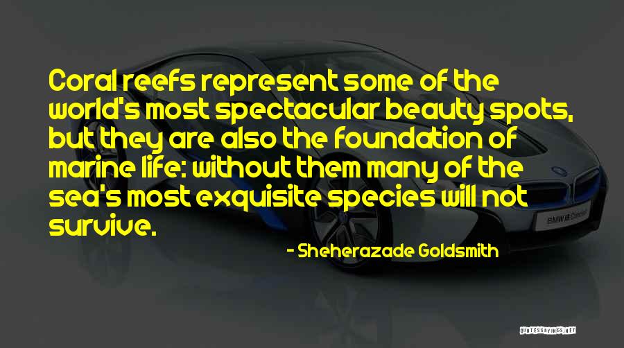 Marine Life Quotes By Sheherazade Goldsmith