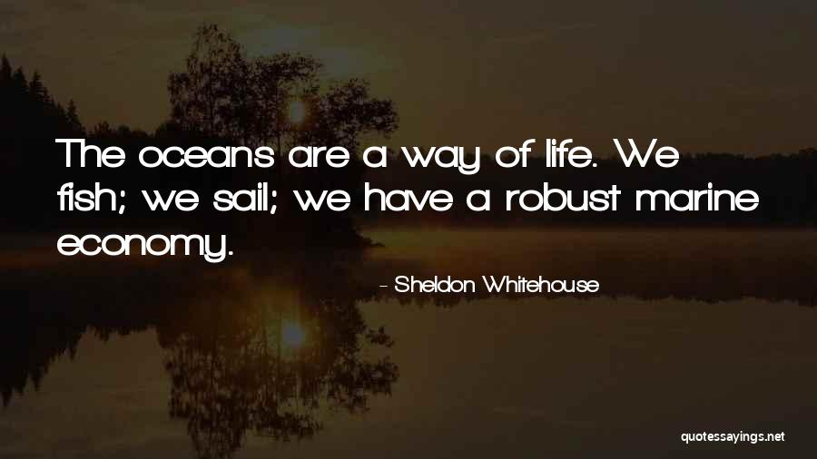 Marine Life Quotes By Sheldon Whitehouse Marine Life Quotes By Sheldon Whitehouse