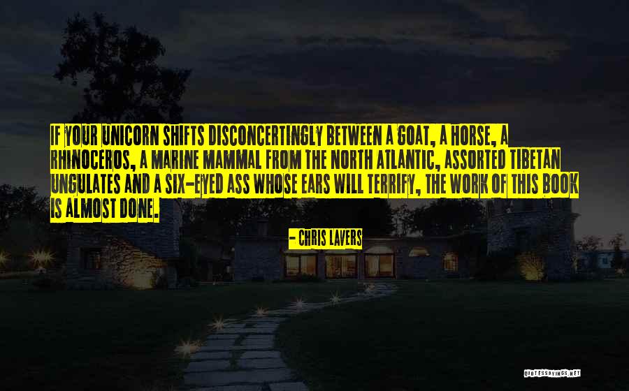 Marine Mammal Quotes By Chris Lavers Marine Mammal Quotes By Chris Lavers