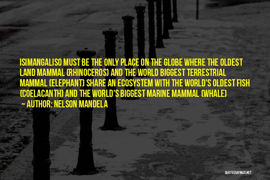 Marine Mammal Quotes By Nelson Mandela