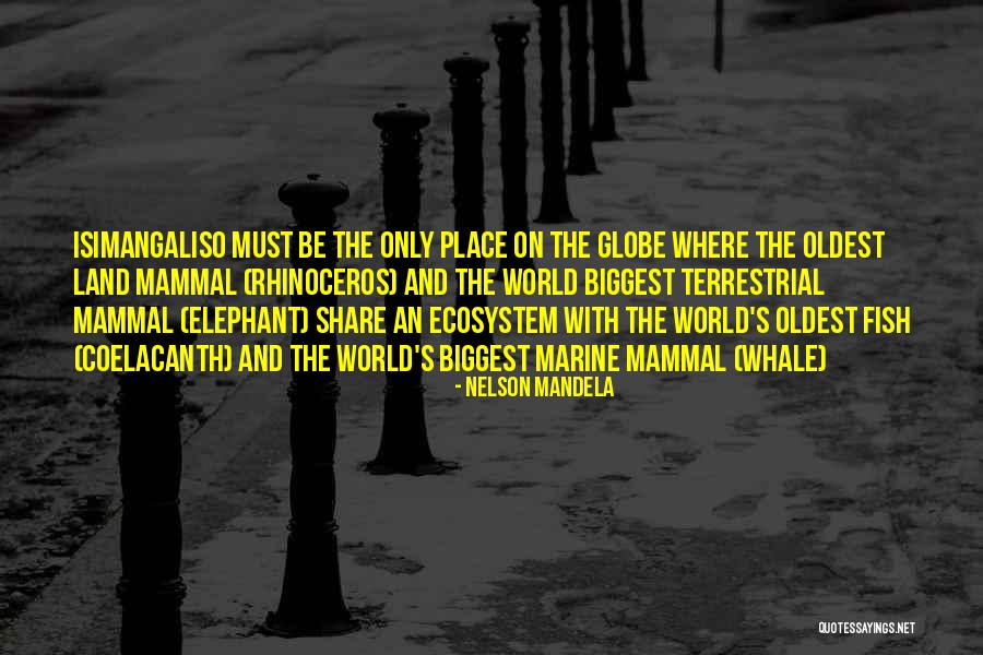 Marine Mammal Quotes By Nelson Mandela Marine Mammal Quotes By Nelson Mandela