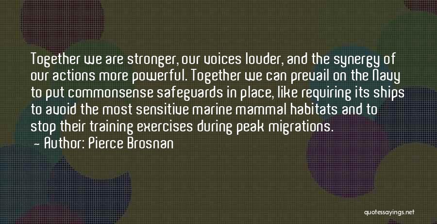 Marine Mammal Quotes By Pierce Brosnan