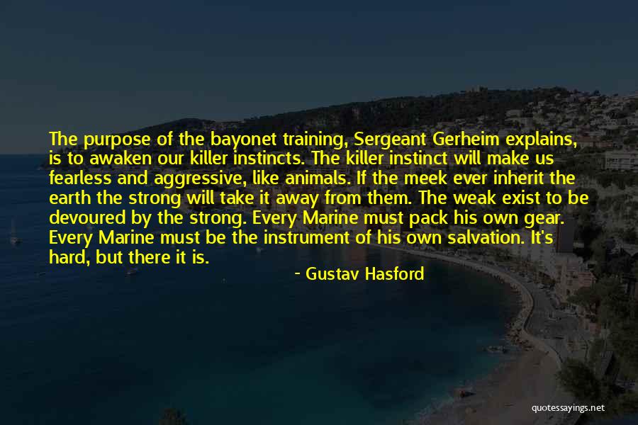 Marine Sergeant Quotes By Gustav Hasford