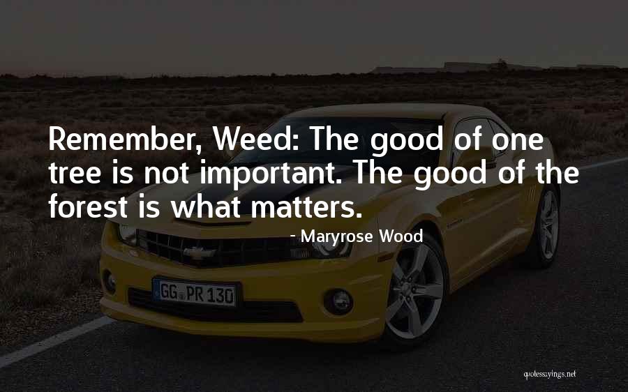 Marinero En Quotes By Maryrose Wood Marinero En Quotes By Maryrose Wood
