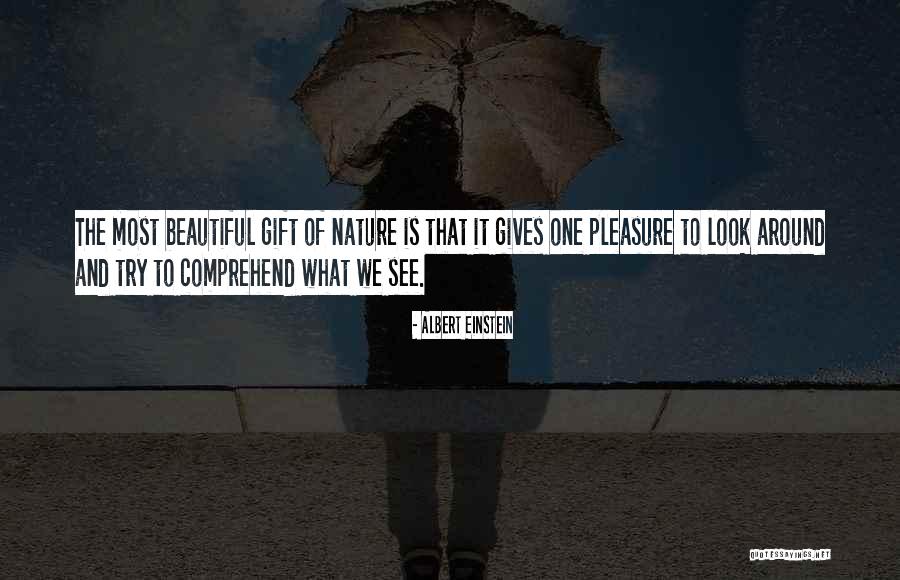 Marinescence Quotes By Albert Einstein Marinescence Quotes By Albert Einstein