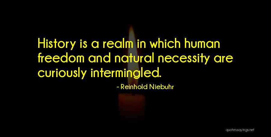 Marintia Escobedos Birthplace Quotes By Reinhold Niebuhr Marintia Escobedos Birthplace Quotes By Reinhold Niebuhr