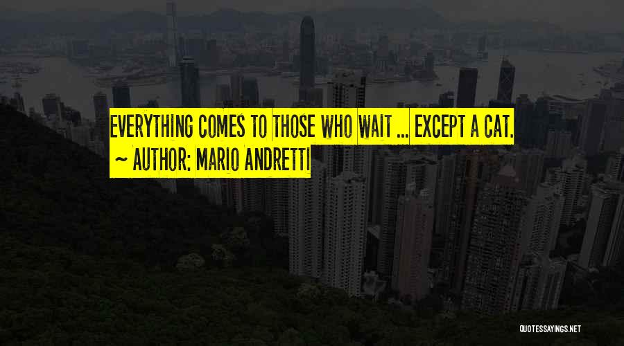 Mario Andretti Quotes 552363