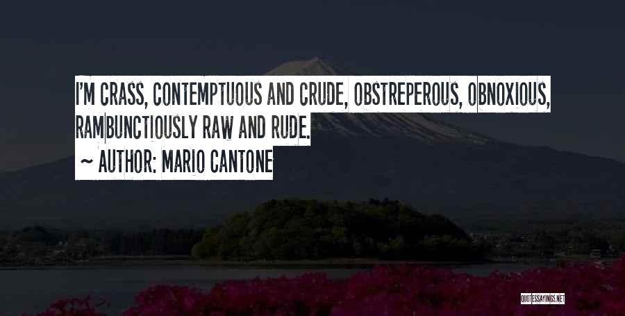 Mario Cantone Quotes 1503522