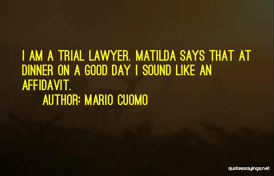 Mario Cuomo Quotes 498591