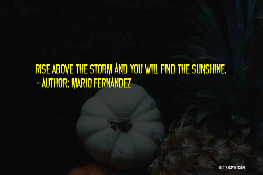 Mario Fernandez Quotes 1989665