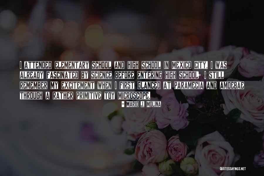 Mario J. Molina Quotes 179434 Mario J. Molina Quotes 179434