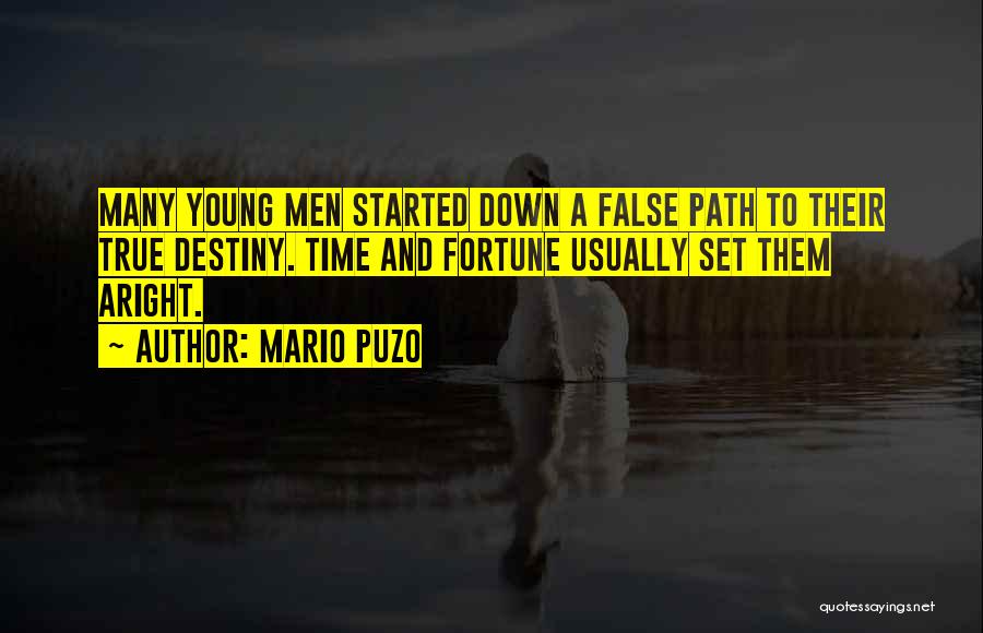 Mario Puzo Quotes 1066523