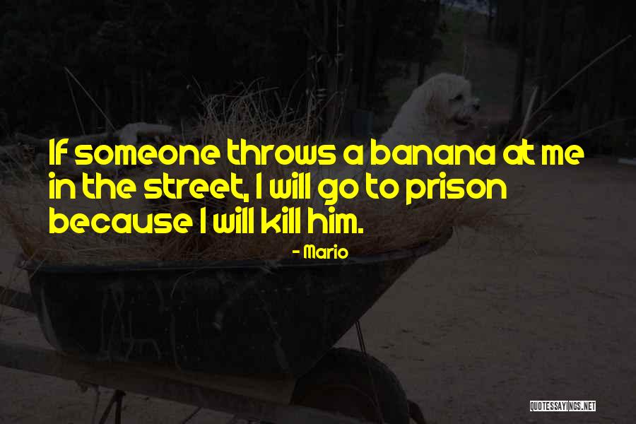 Mario Quotes 423984 Mario Quotes 423984