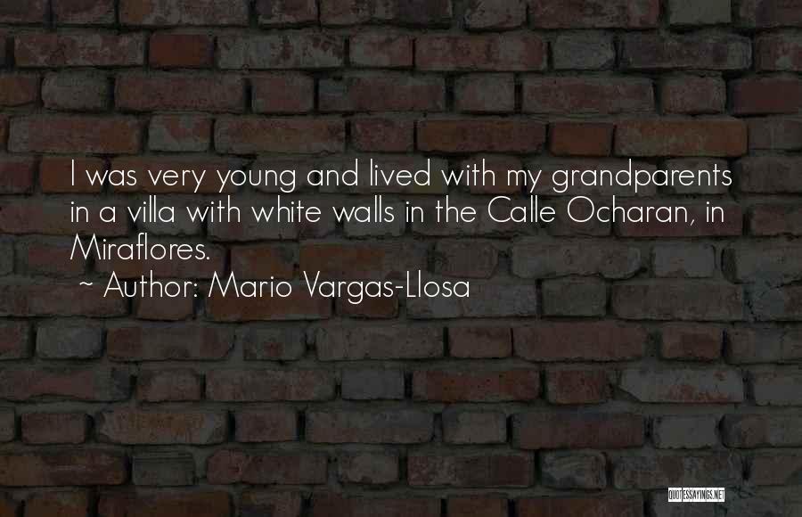 Mario Vargas-Llosa Quotes 1064270