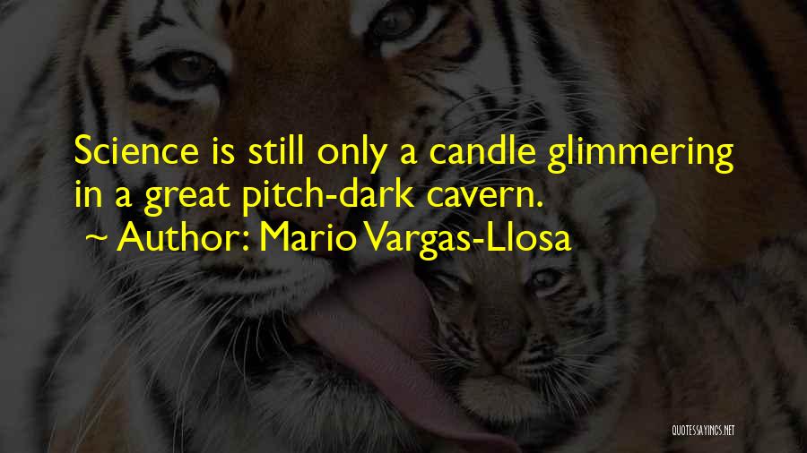 Mario Vargas-Llosa Quotes 1740603