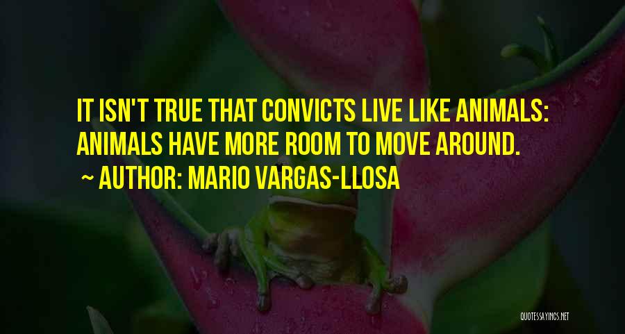 Mario Vargas-Llosa Quotes 252977