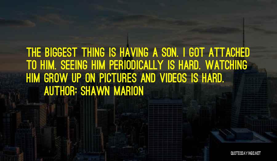 Marion Quotes By Shawn Marion