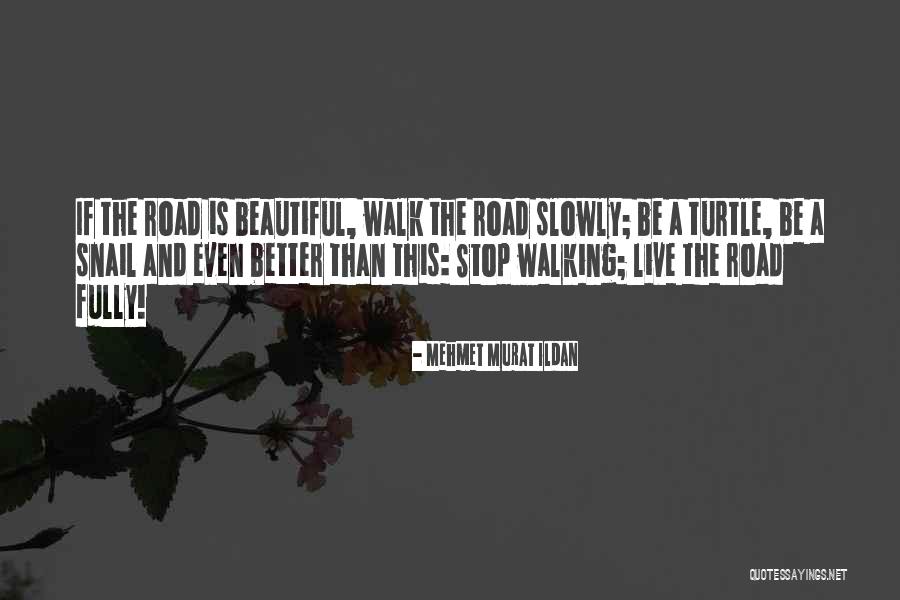 Maripola Quotes By Mehmet Murat Ildan Maripola Quotes By Mehmet Murat Ildan