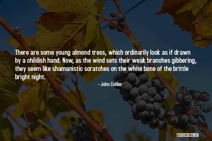 Marischael Quotes By John Collier Marischael Quotes By John Collier