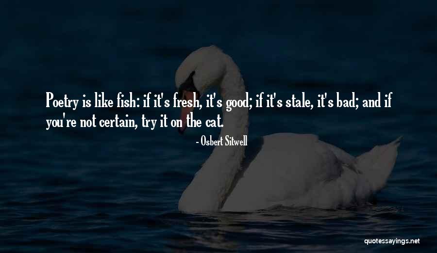 Marisela Escobedo Quotes By Osbert Sitwell Marisela Escobedo Quotes By Osbert Sitwell